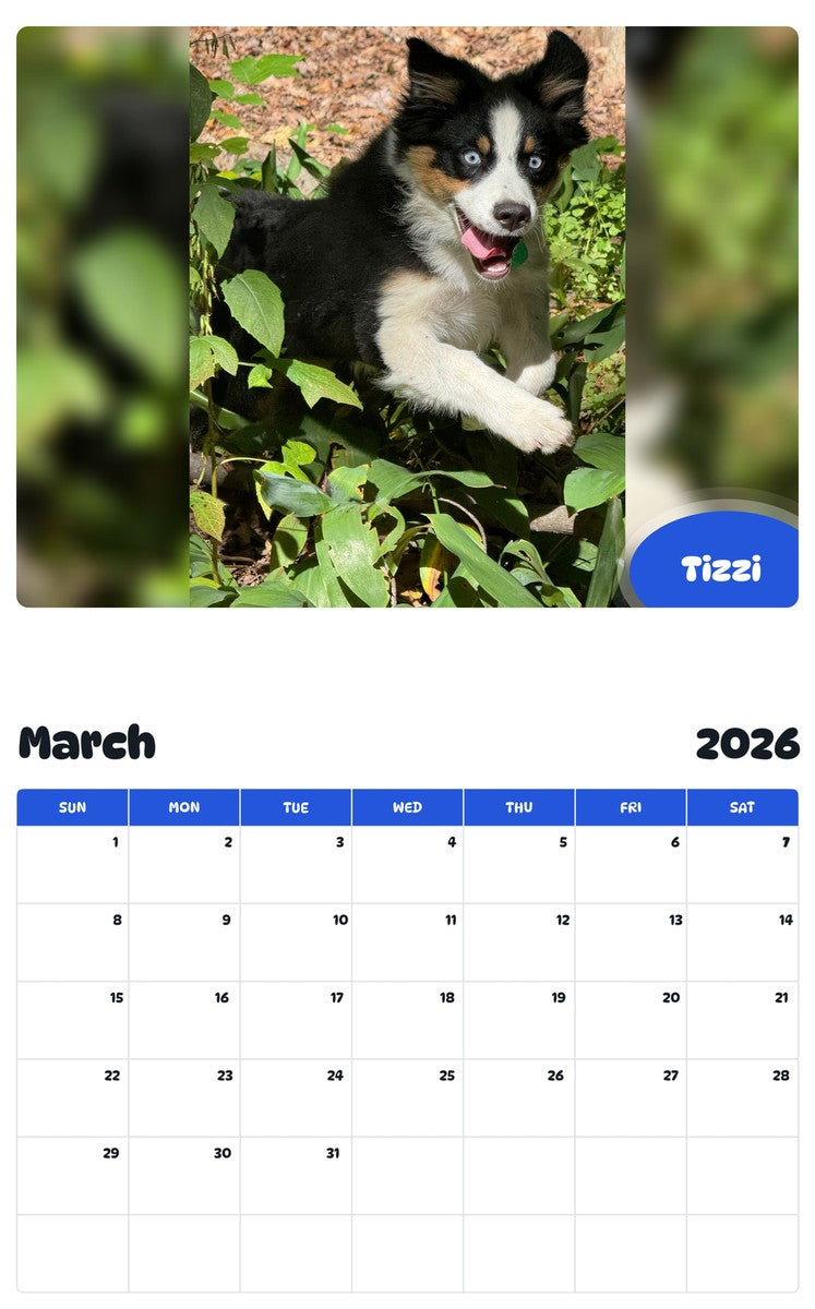 November 2025 - October 2026 Tizzi - Pawidols Pet Calendar