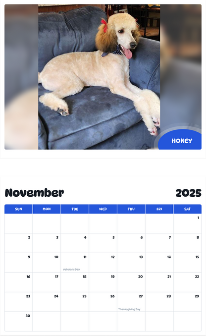 July 2025 - June 2026 Honey - Pawidols Pet Calendar