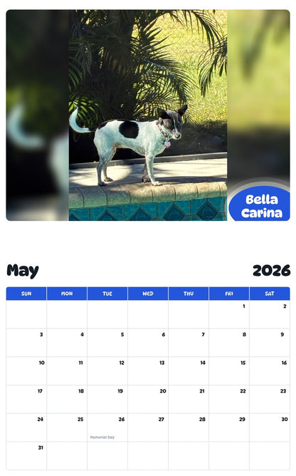 2026 - 2027 Bella Carina - Pawidols Pet Calendar