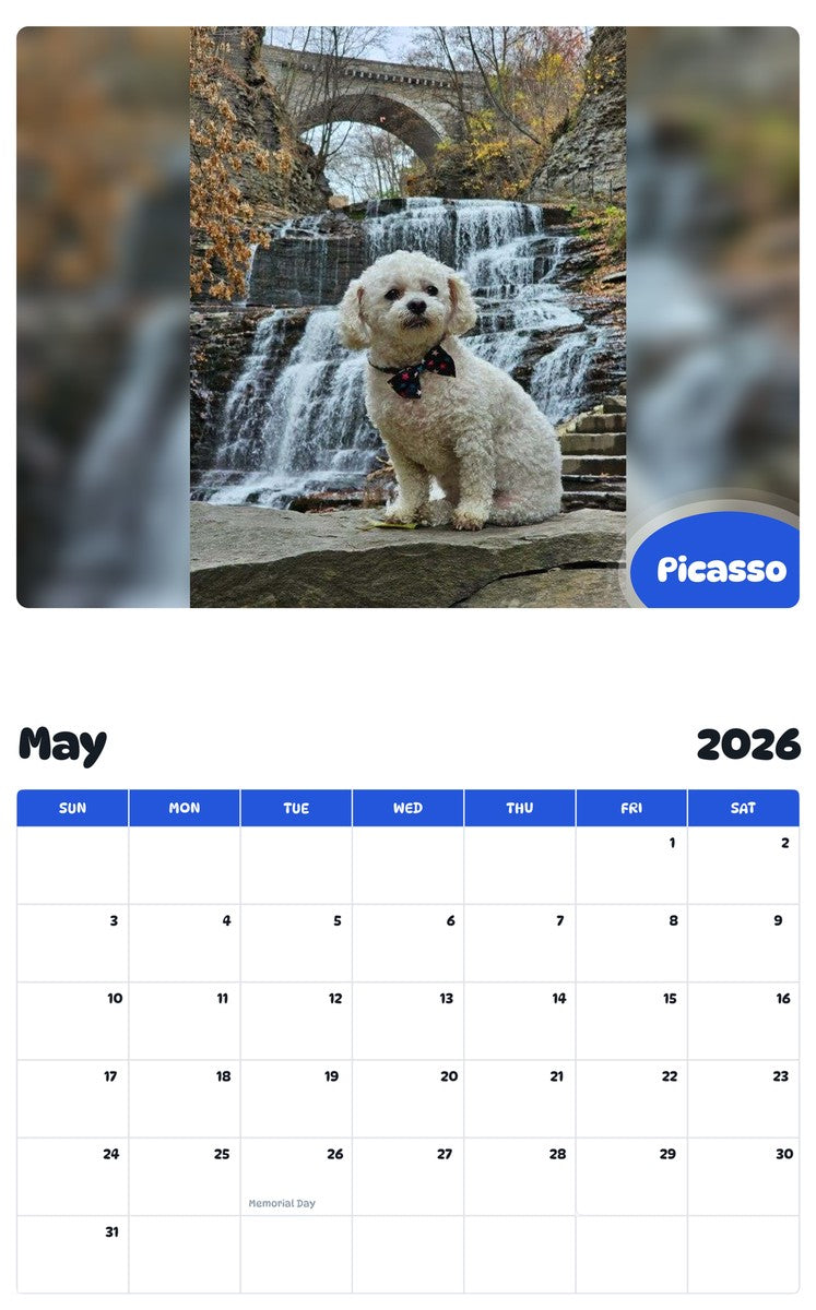2026 - 2027 Picasso - Pawidols Pet Calendar