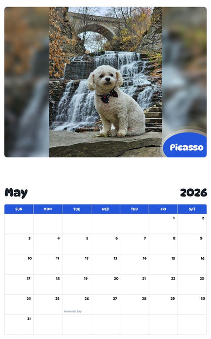 2026 - 2027 Picasso - Pawidols Pet Calendar