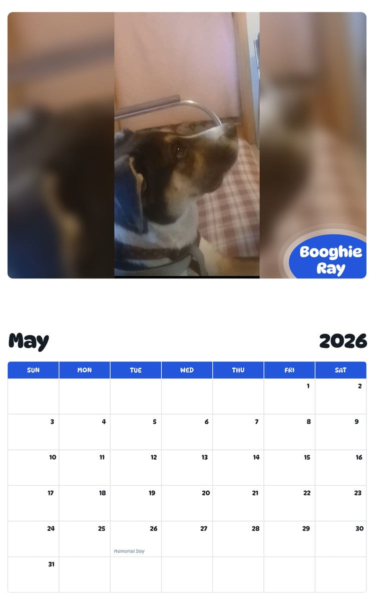 2026 - 2027 Booghie Ray - Pawidols Pet Calendar