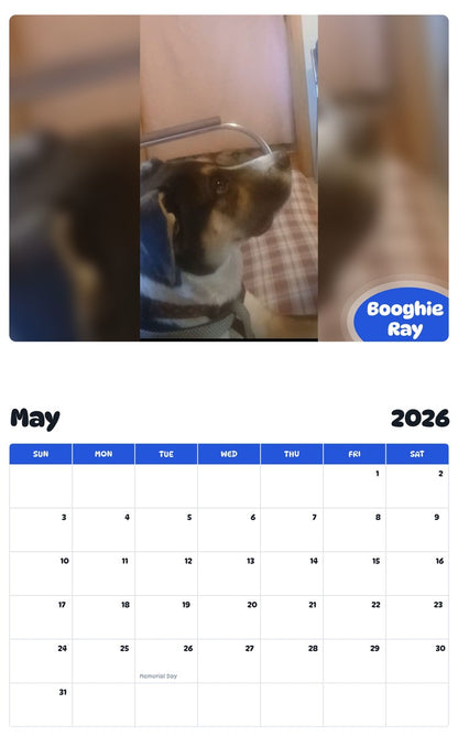 2026 - 2027 Booghie Ray - Pawidols Pet Calendar