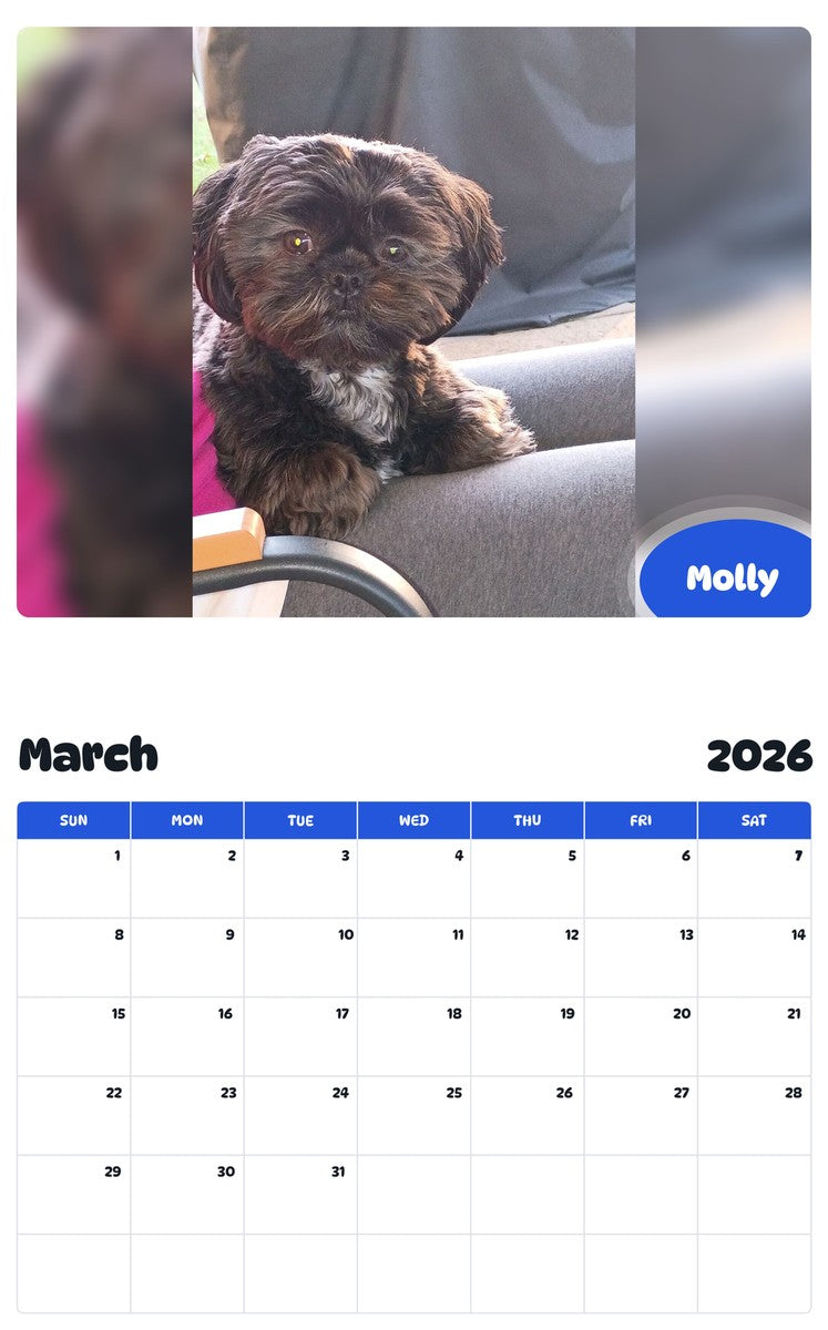 November 2025 - October 2026 Molly - Pawidols Pet Calendar
