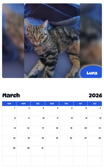 November 2025 - October 2026 Luna - Pawidols Pet Calendar