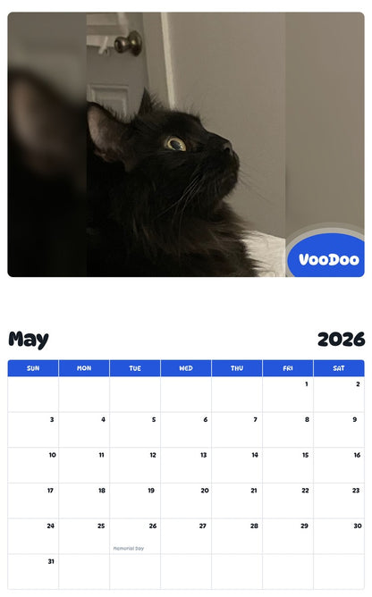 2026 - 2027 VooDoo - Pawidols Pet Calendar