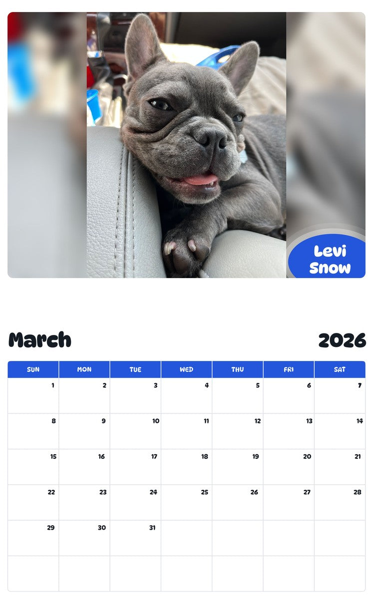 November 2025 - October 2026 Levi Snow - Pawidols Pet Calendar