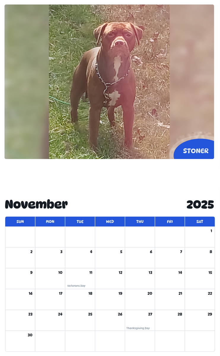 July 2025 - June 2026 Stoner - Pawidols Pet Calendar