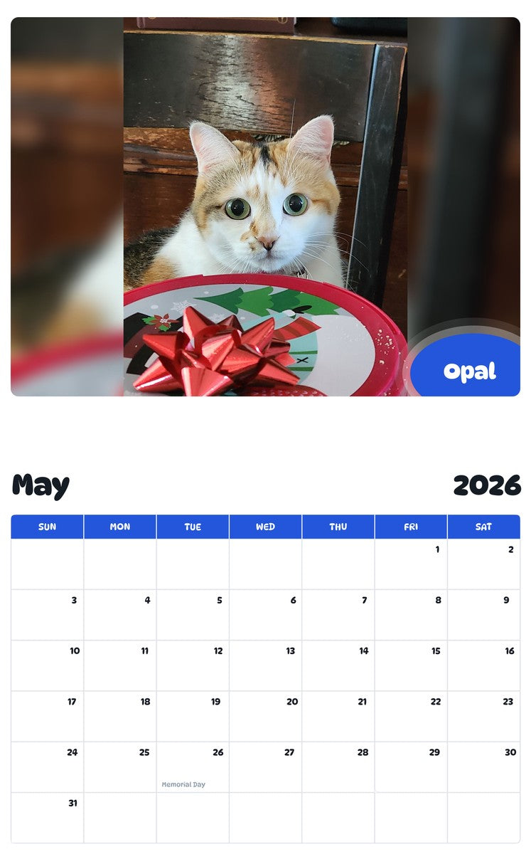 2026 - 2027 Opal - Pawidols Pet Calendar
