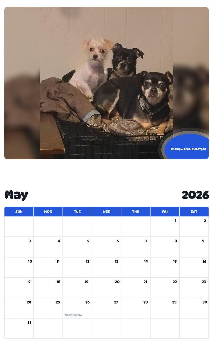 2026 - 2027 Chompy, Oreo, Sweetpea - Pawidols Pet Calendar