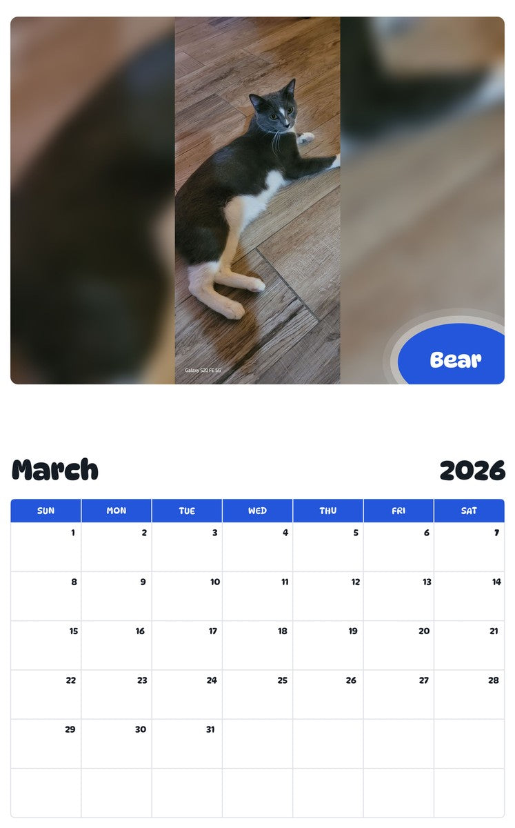 November 2025 - October 2026 Bear - Pawidols Pet Calendar