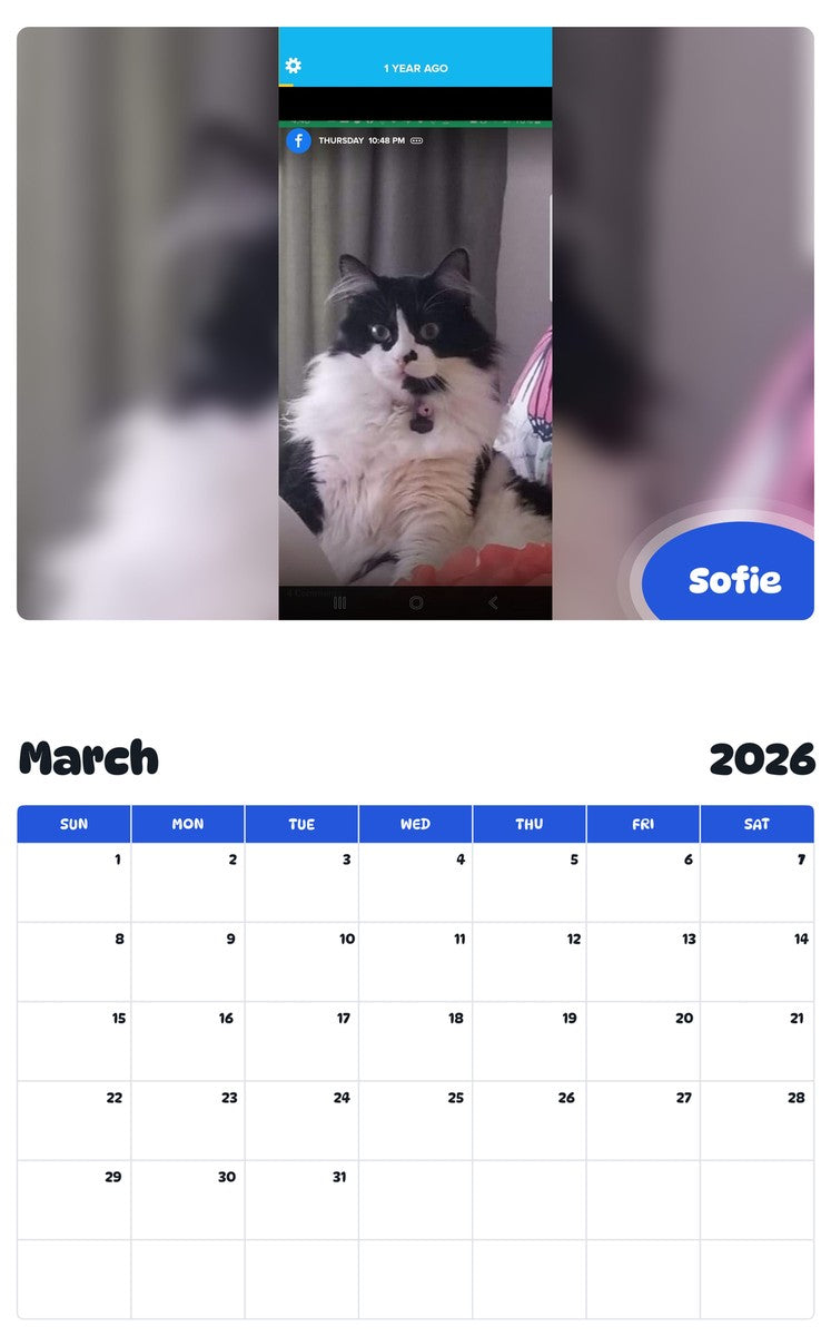 November 2025 - October 2026 Sofie - Pawidols Pet Calendar