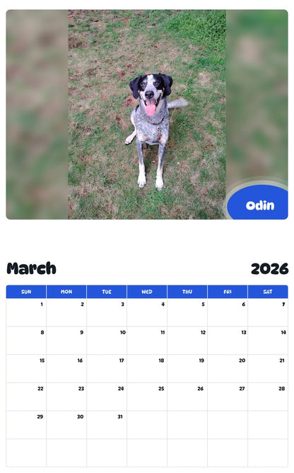November 2025 - October 2026 Odin - Pawidols Pet Calendar