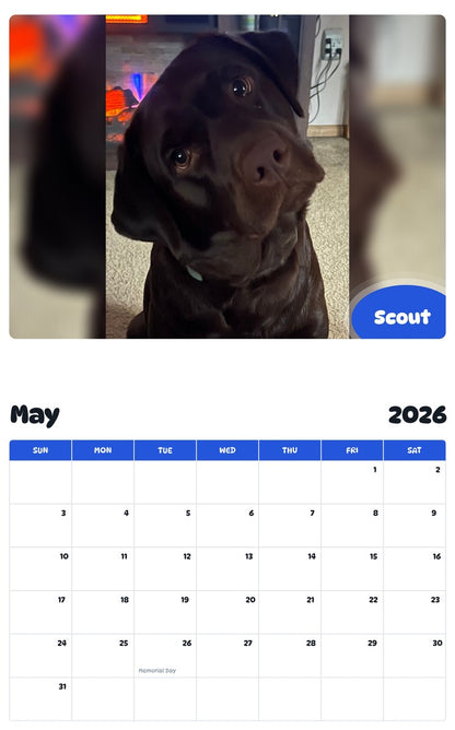 2026 - 2027 Scout - Pawidols Pet Calendar