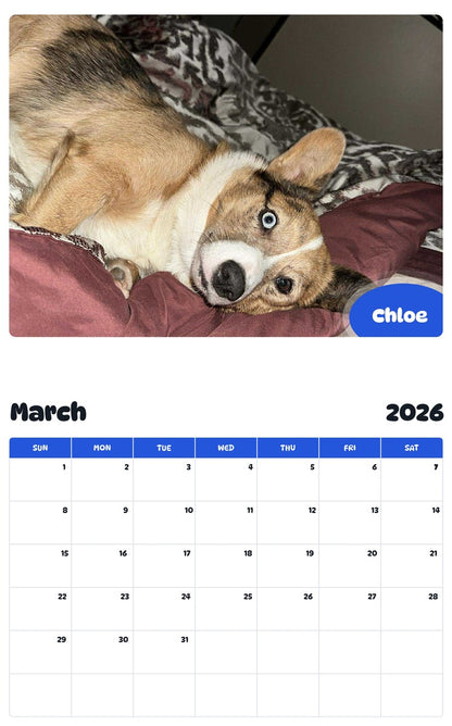 November 2025 - October 2026 Chloe - Pawidols Pet Calendar