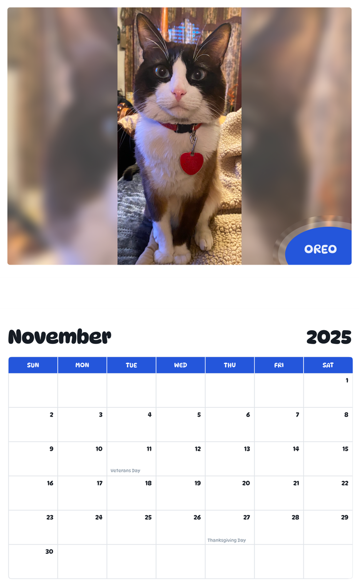 July 2025 - June 2026 Oreo - Pawidols Pet Calendar