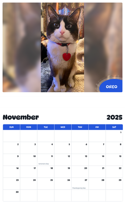 July 2025 - June 2026 Oreo - Pawidols Pet Calendar