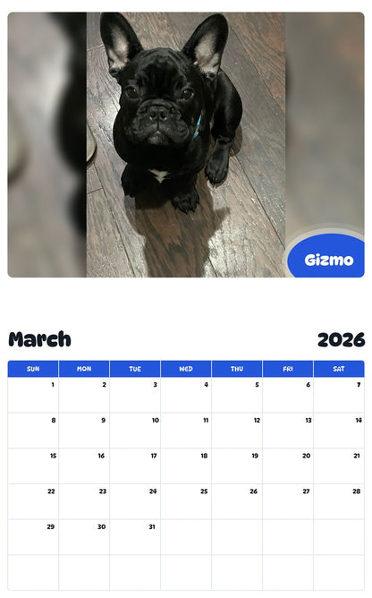 November 2025 - October 2026 Gizmo - Pawidols Pet Calendar