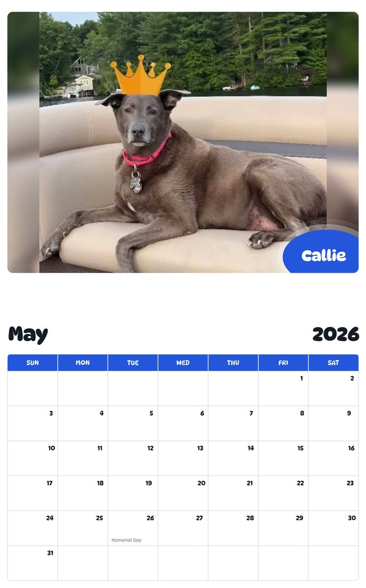 2026 - 2027 Callie - Pawidols Pet Calendar