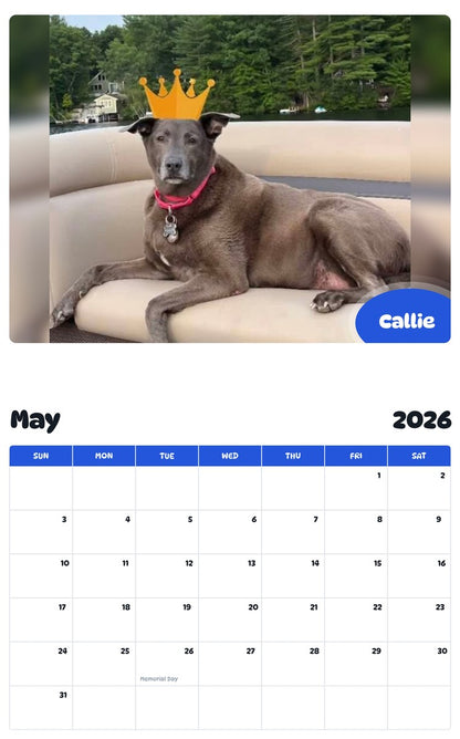 2026 - 2027 Callie - Pawidols Pet Calendar