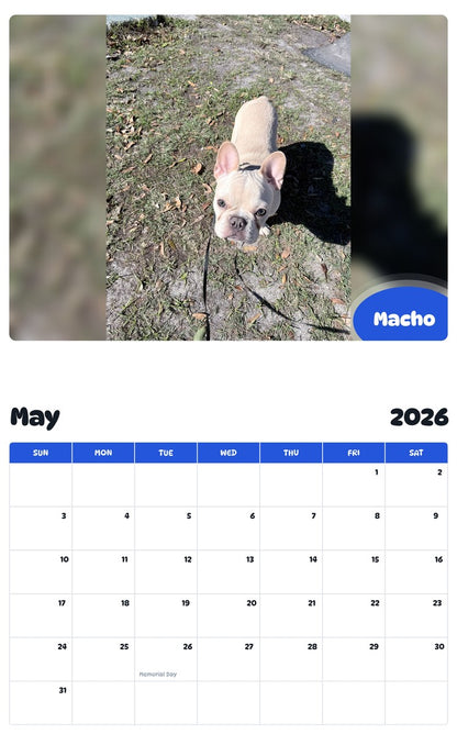 2026 - 2027 Macho - Pawidols Pet Calendar