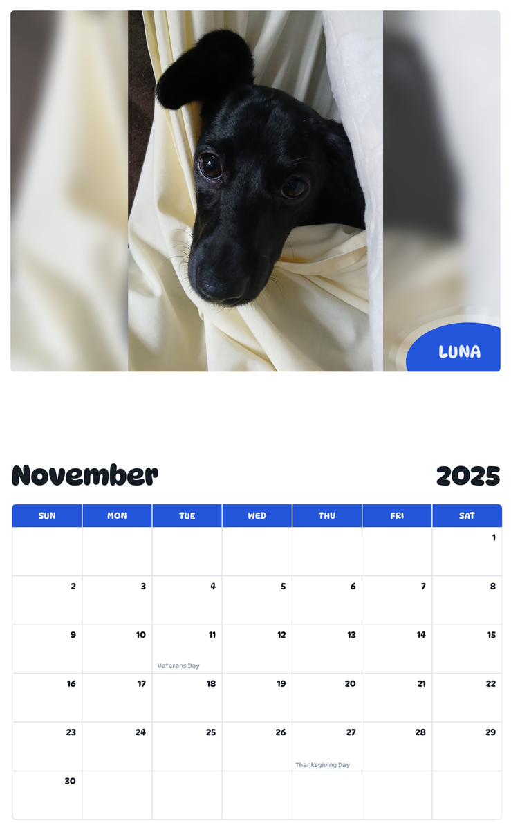 July 2025 - June 2026 LUNA - Pawidols Pet Calendar