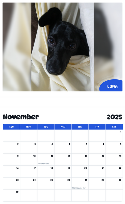 July 2025 - June 2026 LUNA - Pawidols Pet Calendar