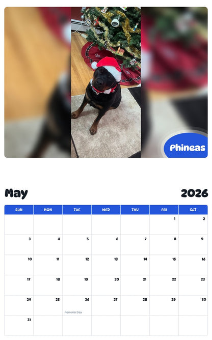 2026 - 2027 Phineas - Pawidols Pet Calendar