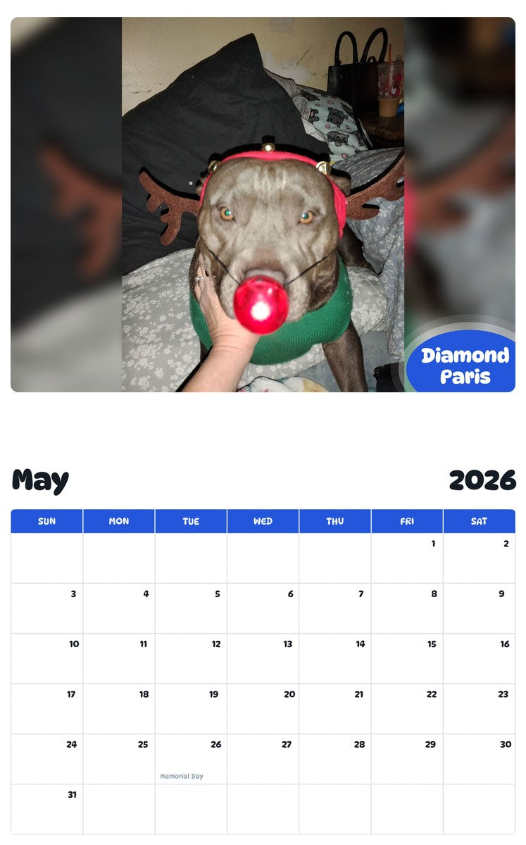 2026 - 2027 Diamond Paris - Pawidols Pet Calendar