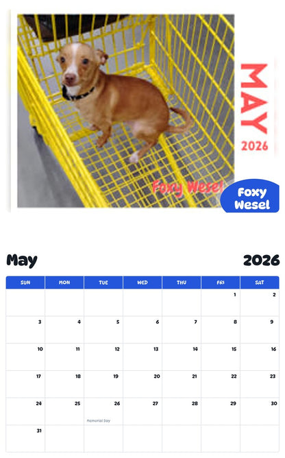 2026 - 2027 Foxy Wesel - Pawidols Pet Calendar