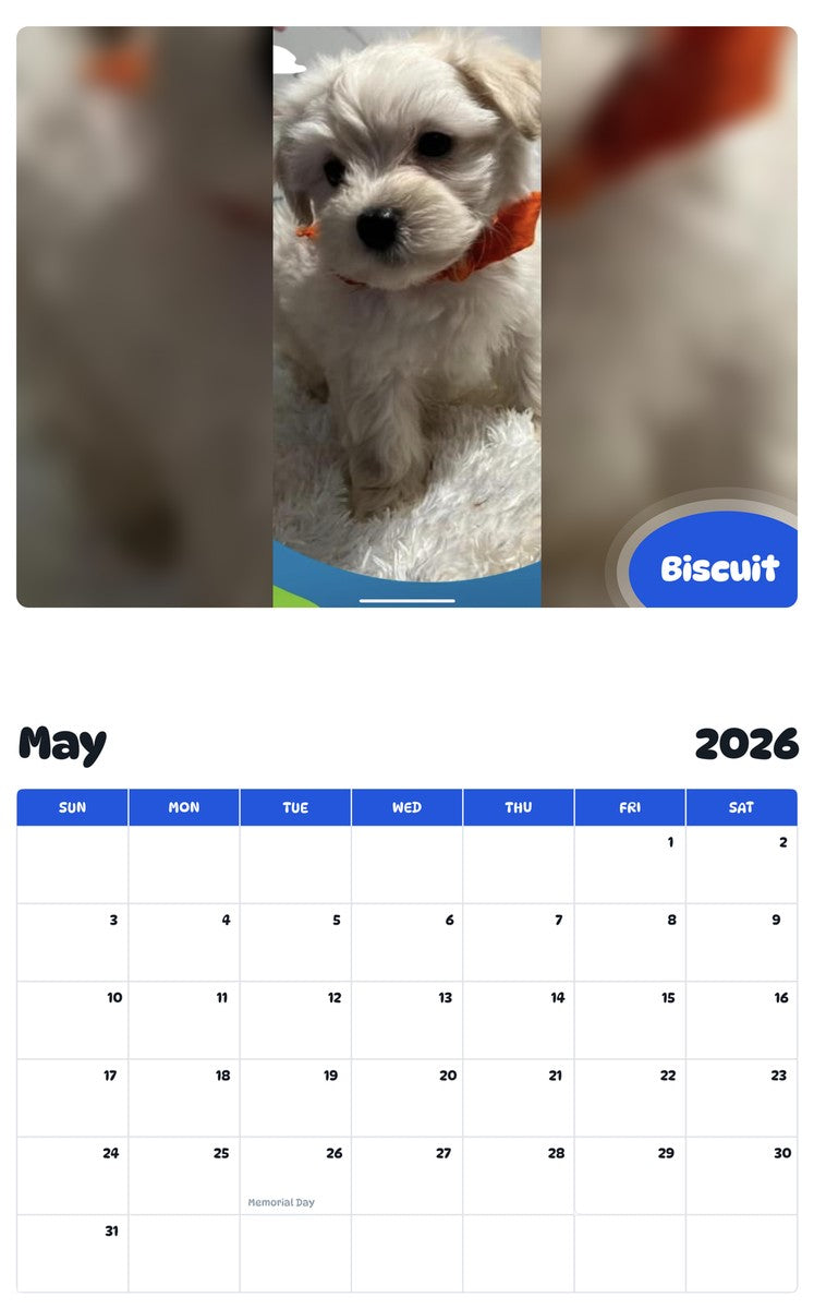 2026 - 2027 Biscuit - Pawidols Pet Calendar