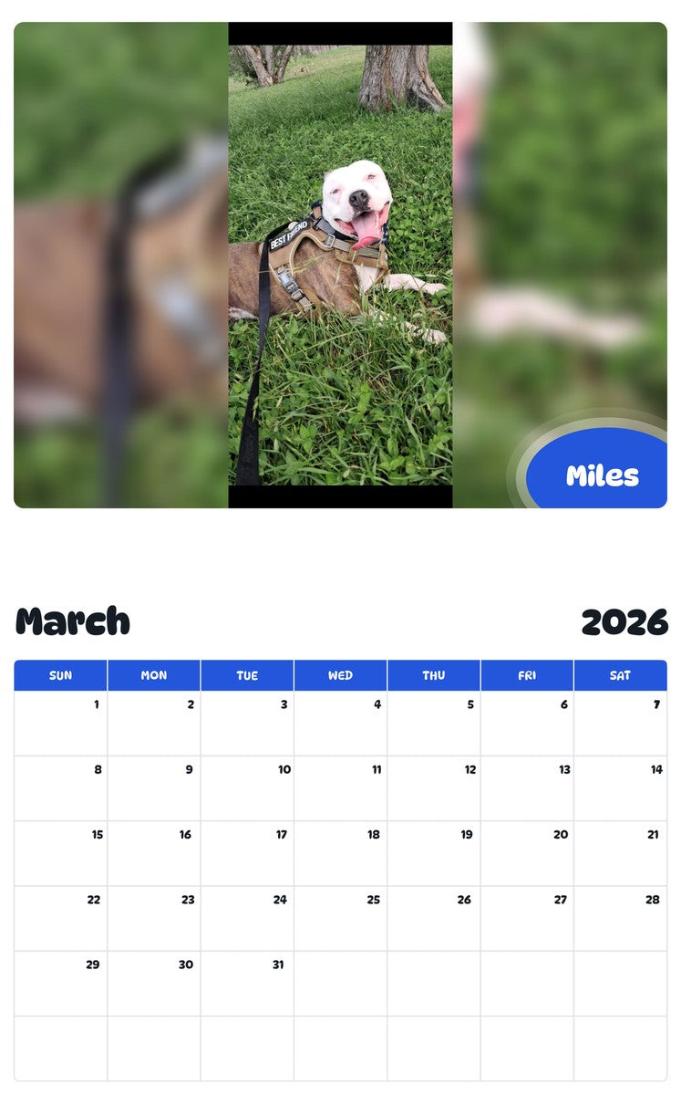 November 2025 - October 2026 Miles - Pawidols Pet Calendar