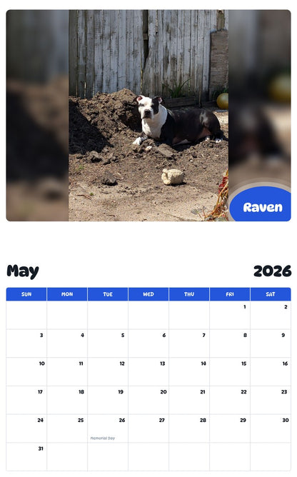 2026 - 2027 Raven - Pawidols Pet Calendar
