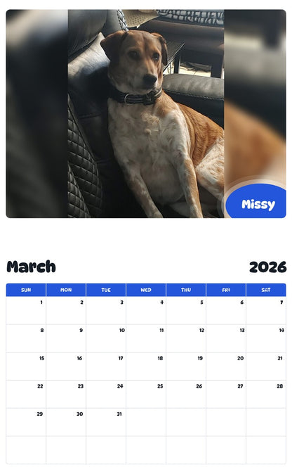November 2025 - October 2026 Missy - Pawidols Pet Calendar