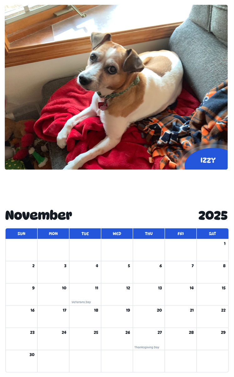 July 2025 - June 2026 Izzy - Pawidols Pet Calendar