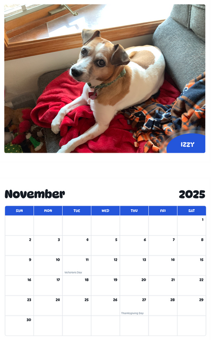 July 2025 - June 2026 Izzy - Pawidols Pet Calendar