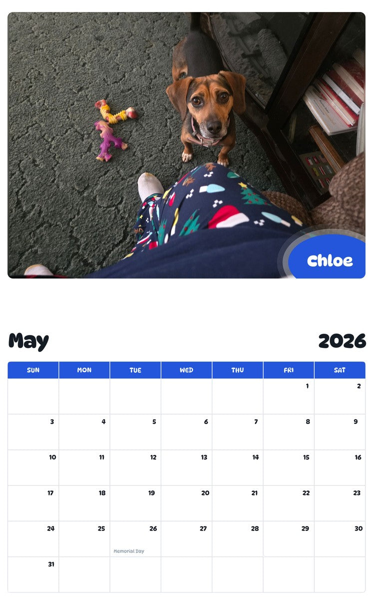 2026 - 2027 Chloe - Pawidols Pet Calendar