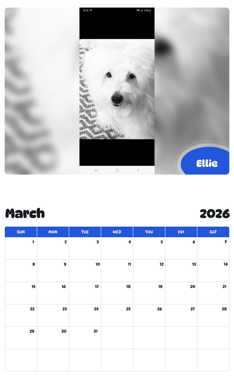 November 2025 - October 2026 Ellie - Pawidols Pet Calendar