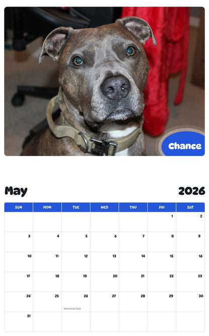 2026 - 2027 Chance - Pawidols Pet Calendar