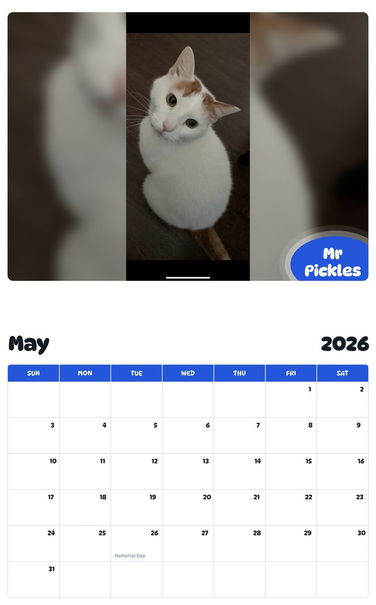 2026 - 2027 Mr Pickles - Pawidols Pet Calendar