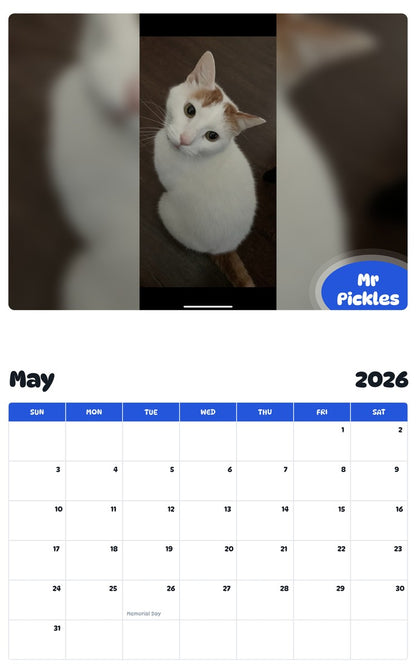 2026 - 2027 Mr Pickles - Pawidols Pet Calendar