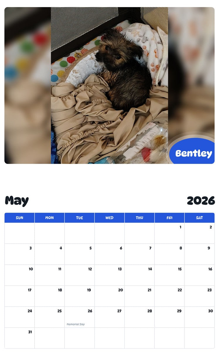 2026 - 2027 Bentley - Pawidols Pet Calendar