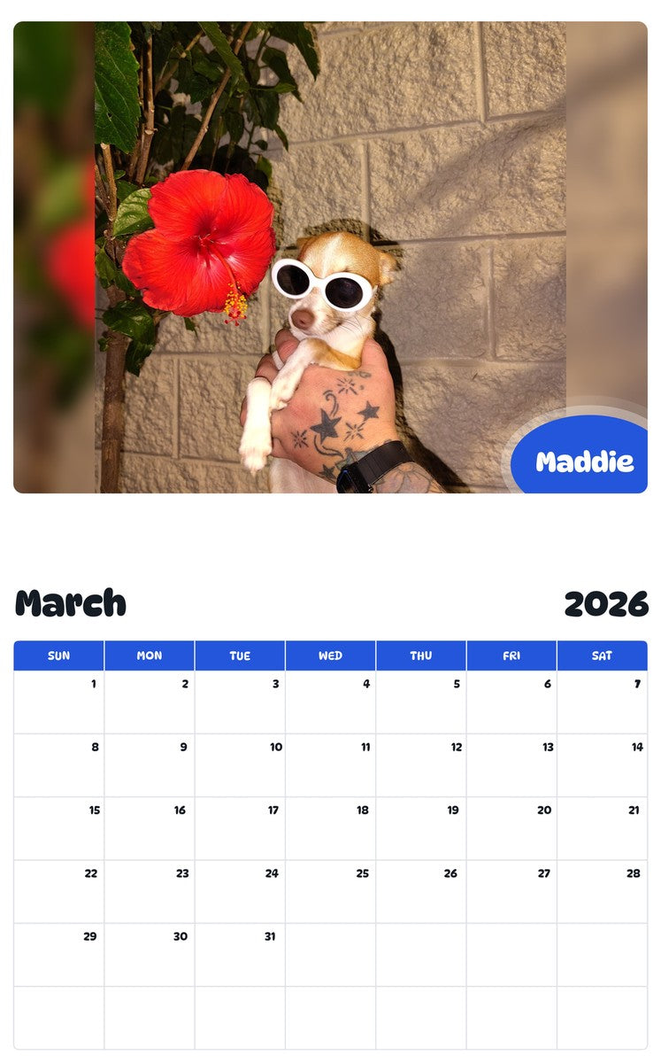 November 2025 - October 2026 Maddie - Pawidols Pet Calendar