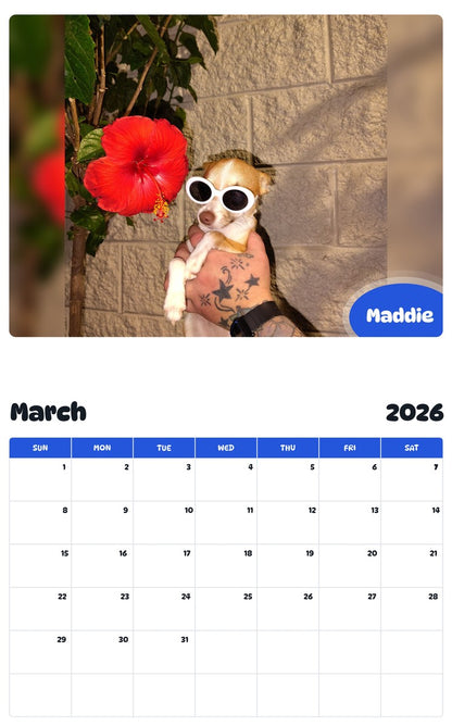 November 2025 - October 2026 Maddie - Pawidols Pet Calendar