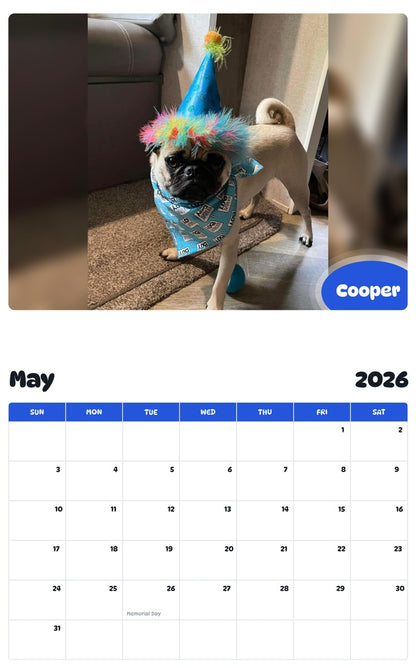 2026 - 2027 Cooper - Pawidols Pet Calendar