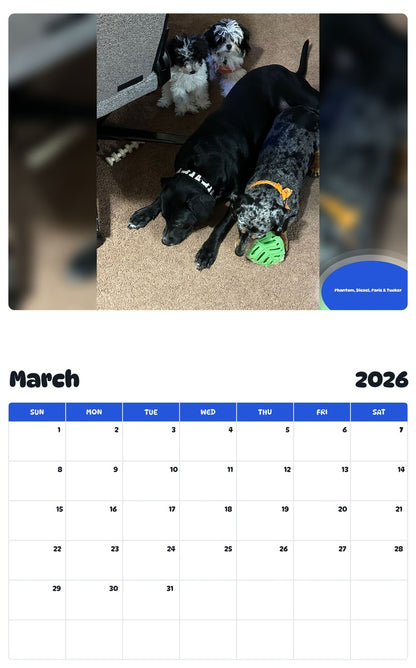 November 2025 - October 2026 Phantom, Diesel, Paris & Tucker - Pawidols Pet Calendar