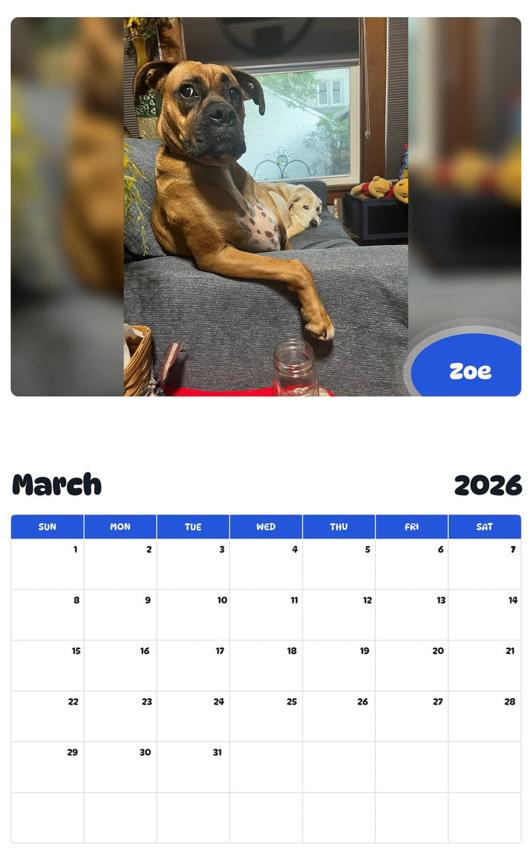 November 2025 - October 2026 Zoe - Pawidols Pet Calendar