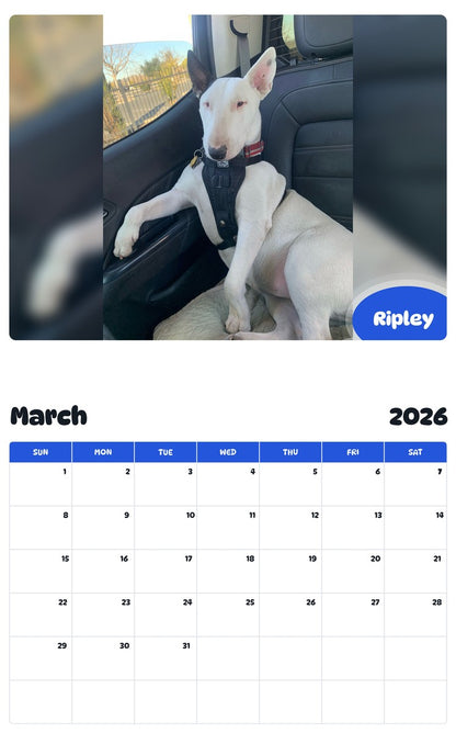 November 2025 - October 2026 Ripley - Pawidols Pet Calendar