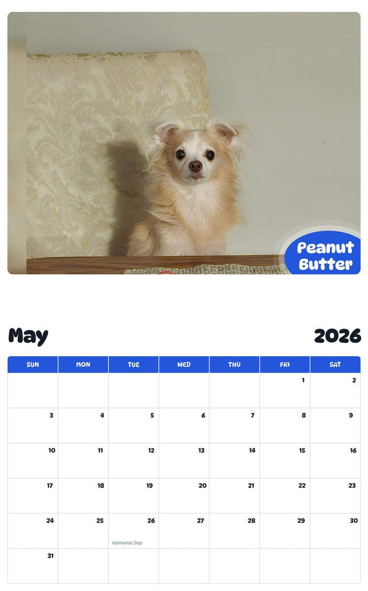 2026 - 2027 Peanut Butter - Pawidols Pet Calendar