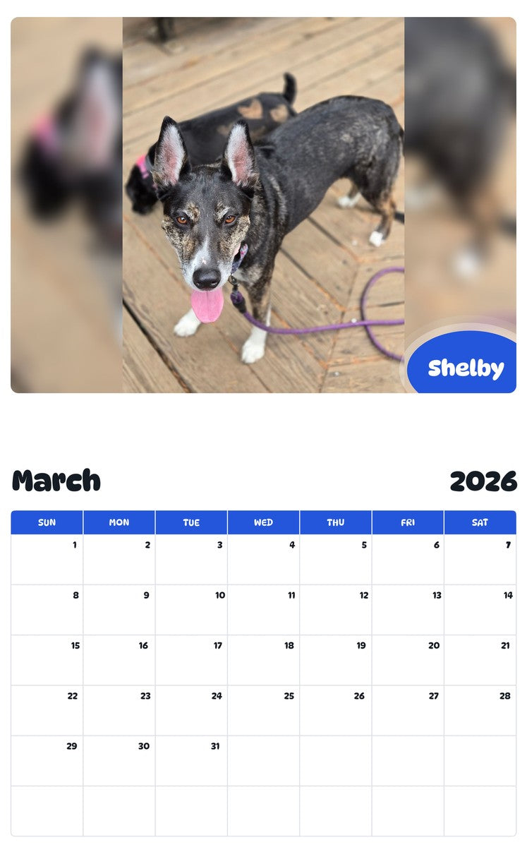 November 2025 - October 2026 Shelby - Pawidols Pet Calendar